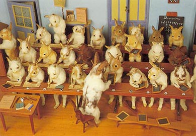 Rabbit School