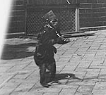 Successful applicants